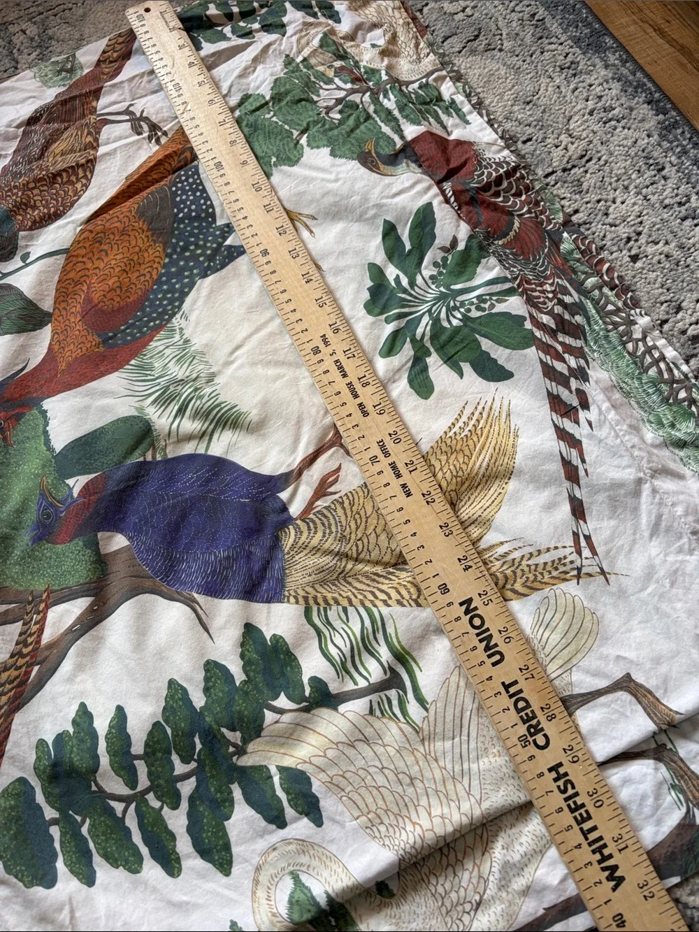 Williams Sonoma Williams Sonoma Home Winslow Pheasant printed shams